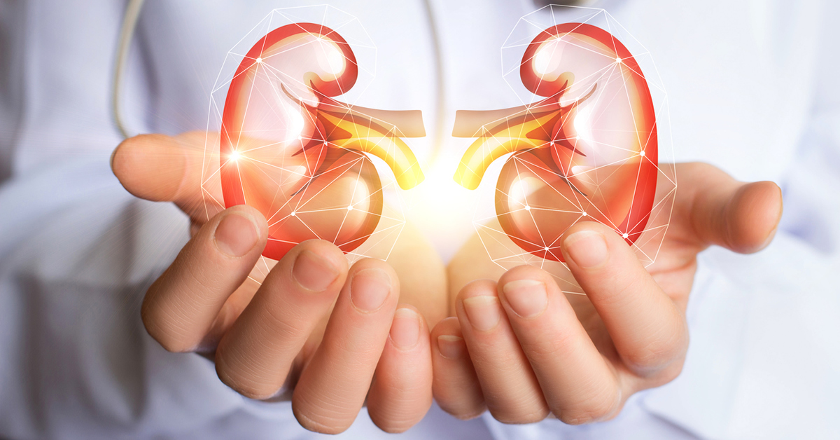 Insuficiência renal: sintomas, causas e como prevenir